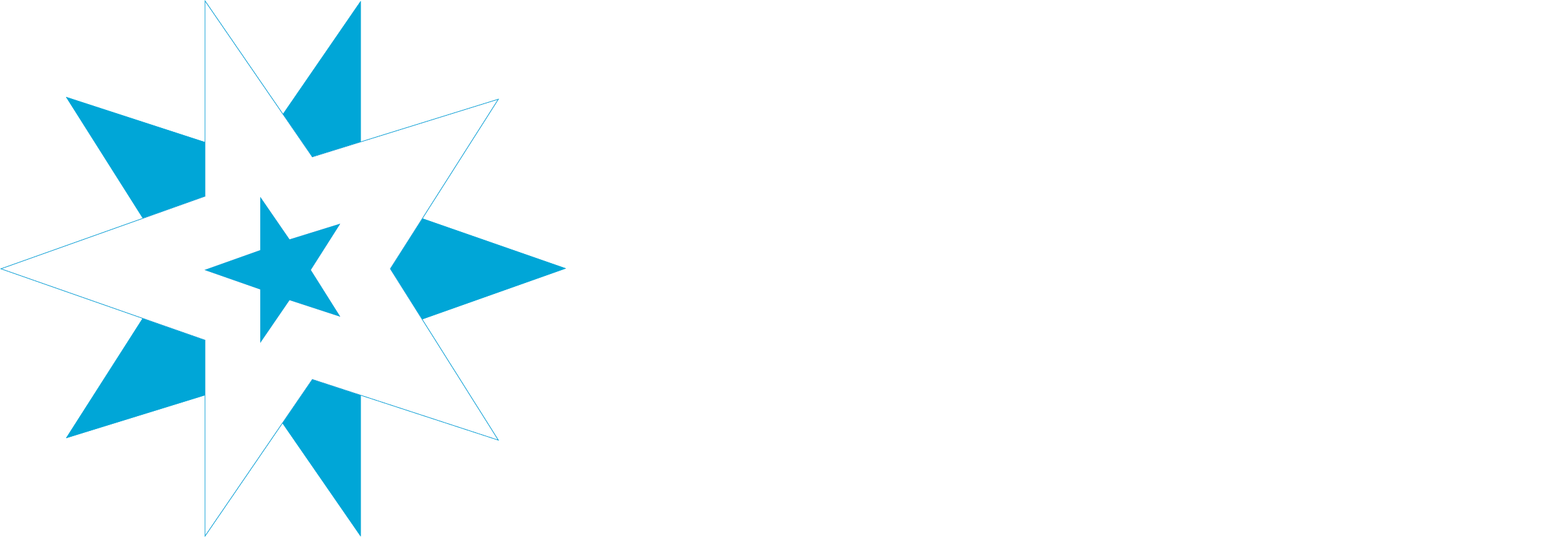 https-carrosserie-stern-ch-wp-content-uploads-2022-01-stern-carrosserie-logo-footer-2-png